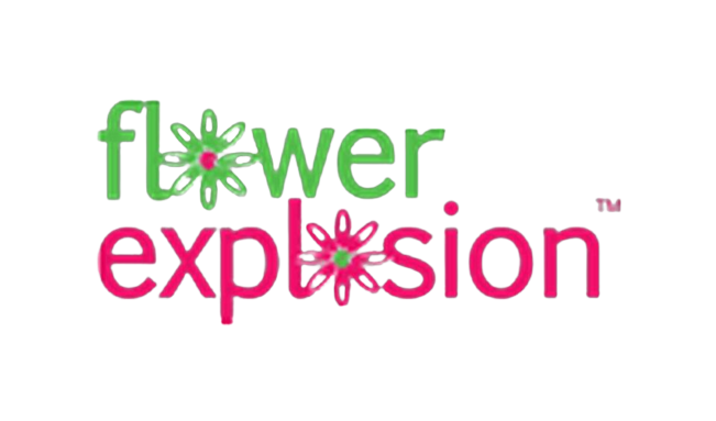 flower explosion