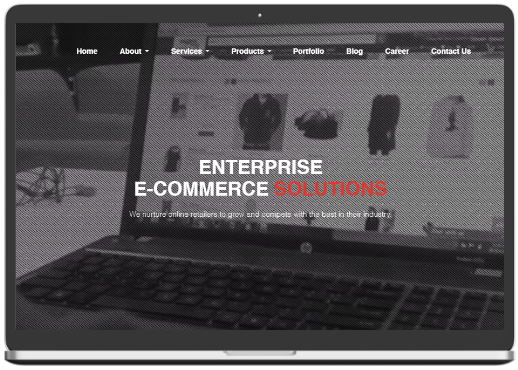 Enterprize ecommerce solutions
