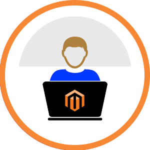 Expert Magento2 Developer