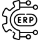 Odoo ERP System